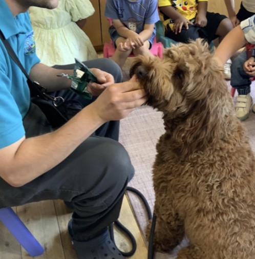 Argo sitting with his handler during a group session while children watch from their chairs